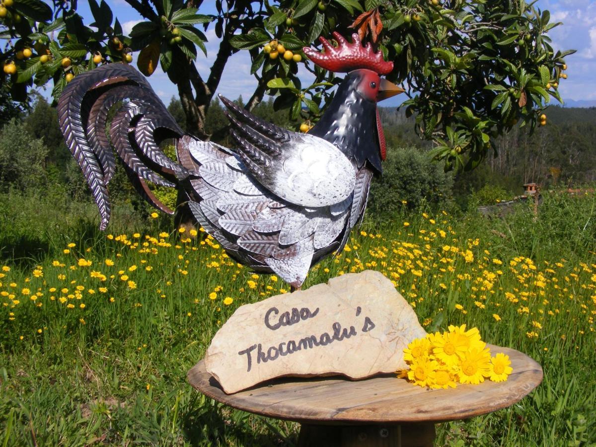 Casa Thocamalu'S Covelo (Coimbra) Exterior foto